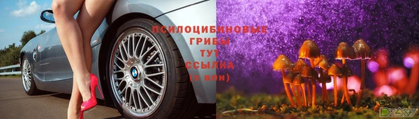 дживик Гусь-Хрустальный