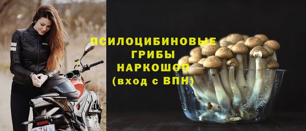 марки lsd Гусев