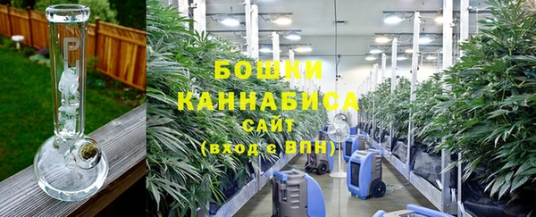 дживик Гусь-Хрустальный