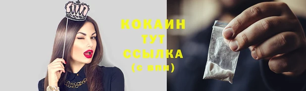 дживик Гусь-Хрустальный