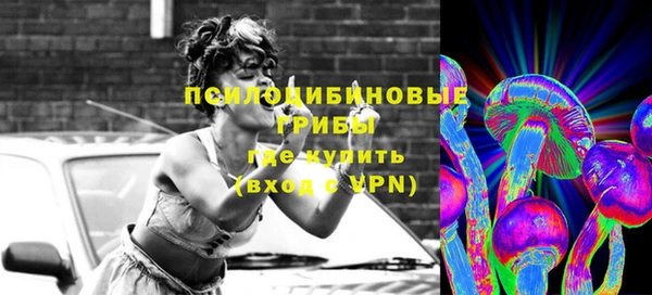 дживик Гусь-Хрустальный