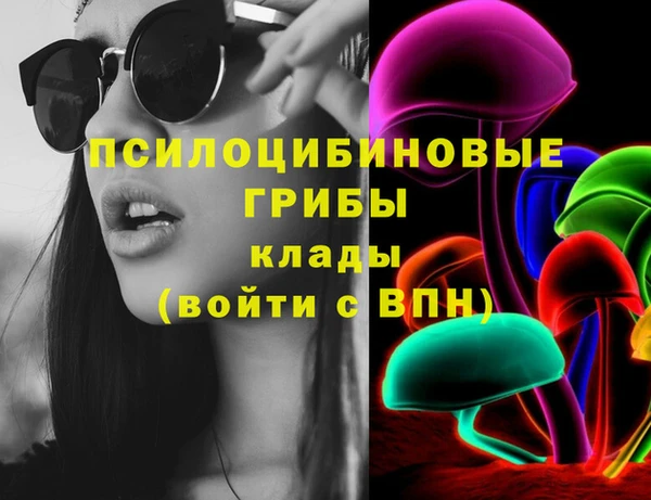 марки lsd Гусев