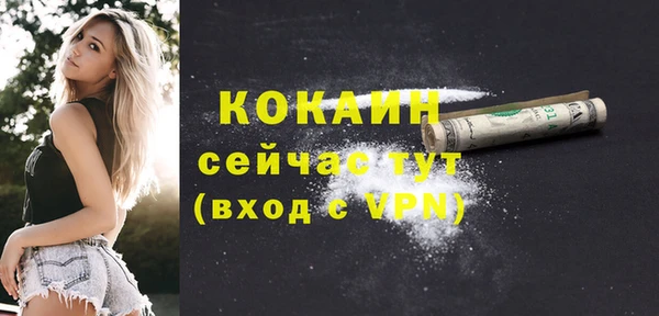 дживик Гусь-Хрустальный