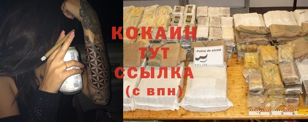 дживик Гусь-Хрустальный