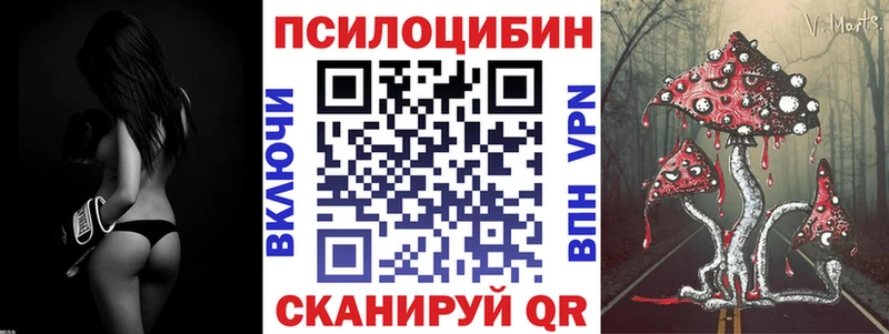 Купить закладки  Новая Ладога  Псилоцибиновые грибы ЛСД 