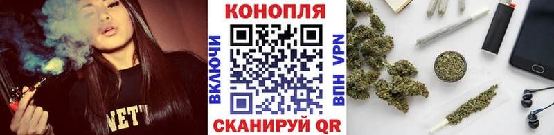 Шишки марихуана семена Купить закладки Новая Ладога